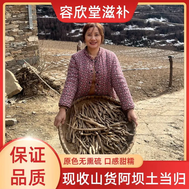 现收山货 阿坝高山高海拔土当归 藏当归 甜当归 整根独角当归