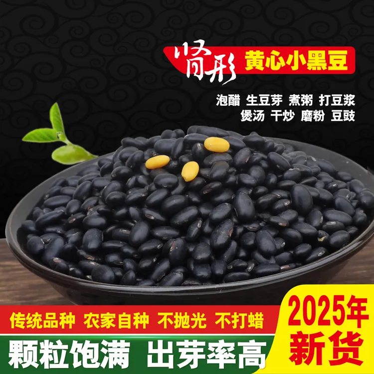 山西大同传统老品种肾形黄芯小黑豆营养丰富可打豆浆发豆芽