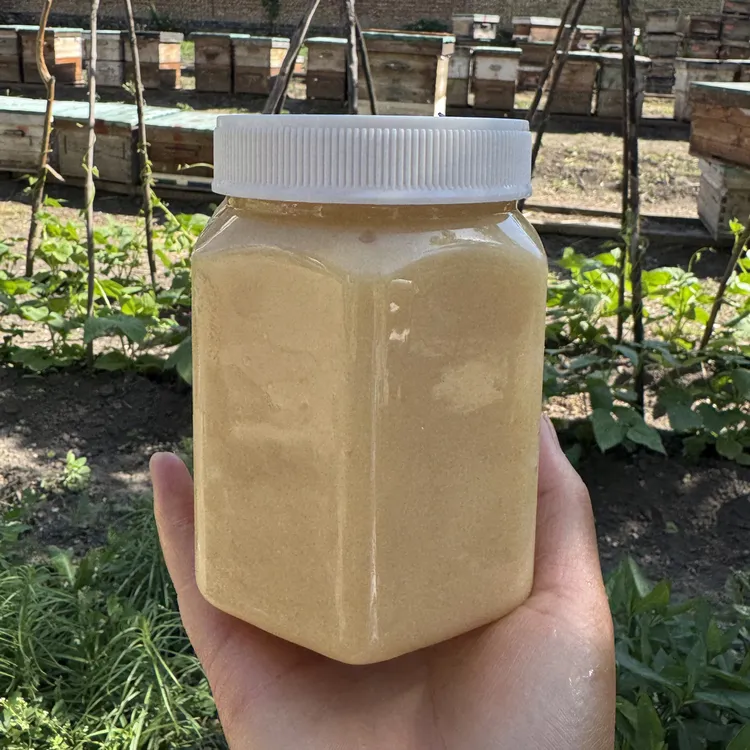 新疆天山雪蜜黑蜂土蜂蜜结晶蜜【假一赔十】新疆直发