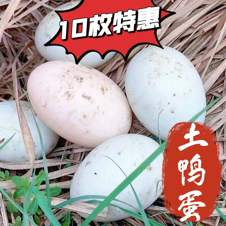 10枚土鸭蛋正宗散养麻鸭下蛋新鲜鸭蛋河边散放可腌制生鸭蛋带泥