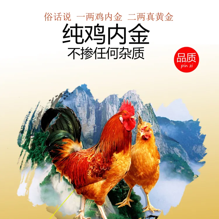 农家散养高品质鸡内金 土鸡内金 鸡内金粉 土鸡内金粉 山楂鸡内金