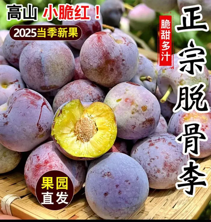 贵州高山新鲜应季脱骨脆红李脆甜多汁爽口肉厚爽脆