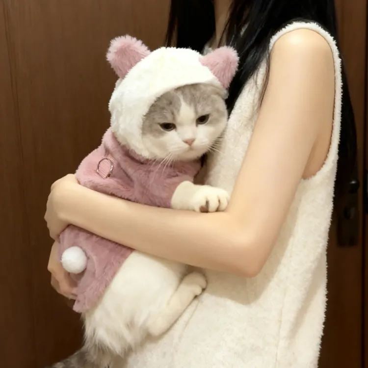 猫咪衣服可爱小动物两脚绒衣加厚加绒猫衣服防掉毛布偶英短美短猫