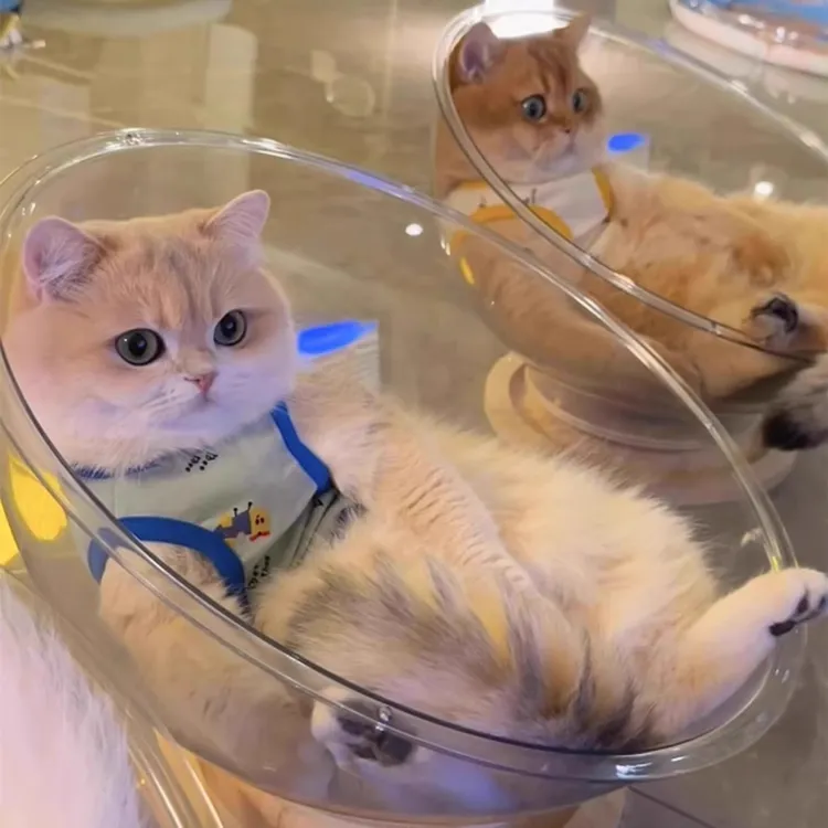 猫窝太空舱窝四季通用猫咪转盘玩具亚克力太空窝半封闭透明睡觉用