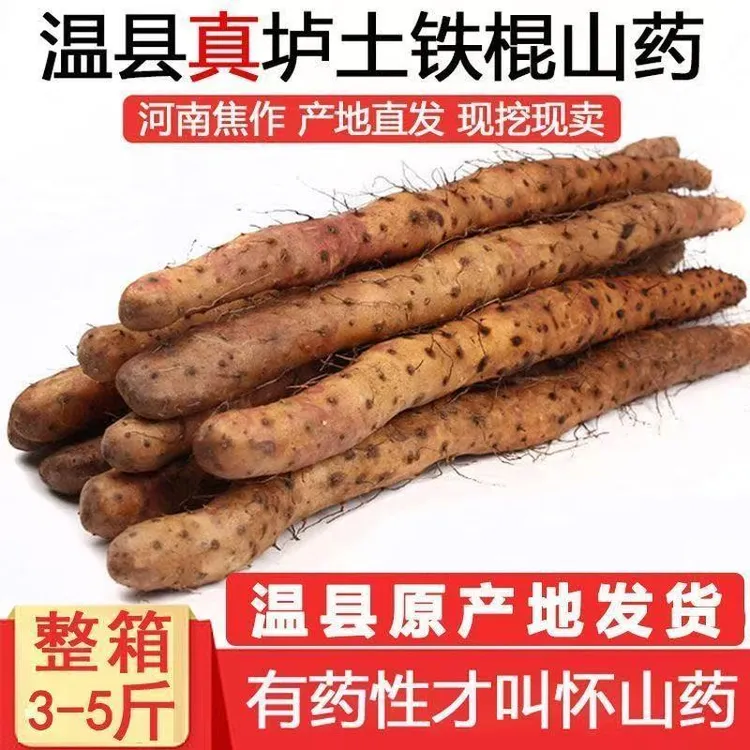 【直发】正宗产地直发新鲜怀甄焦作焦作垆土铁棍山药