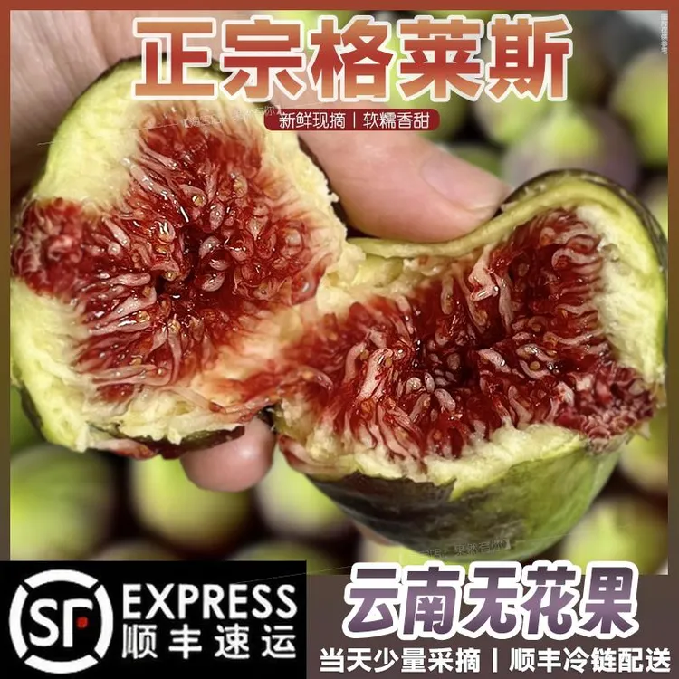 云南无花果现货糖包子中大果奈菲格莱斯水蜜桃糖胞子新鲜顺丰