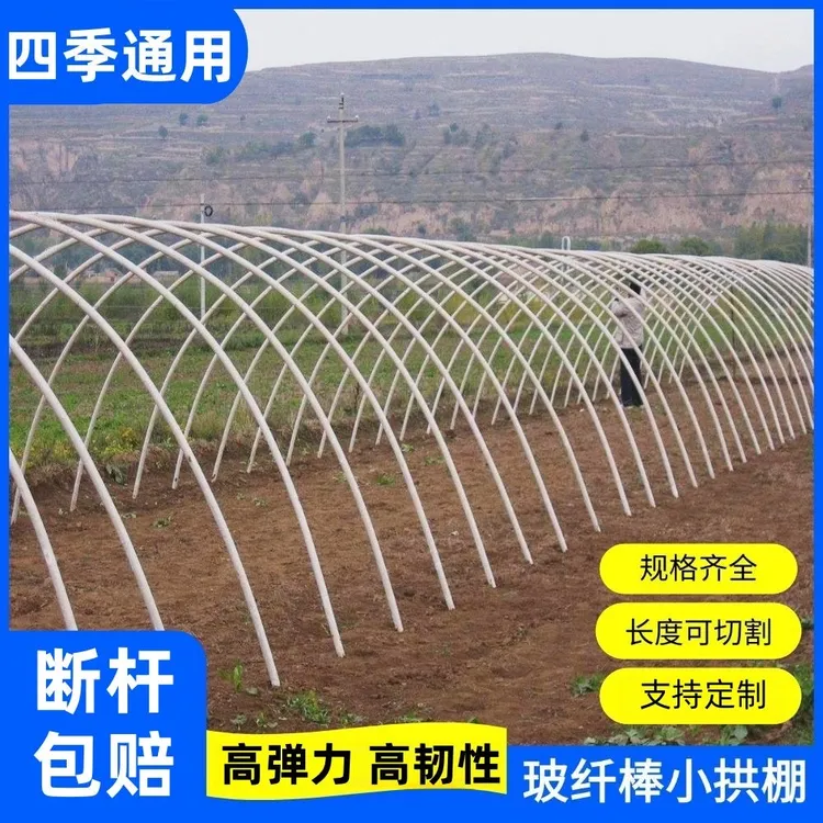 支架杆子遮阳棚大棚骨架豆角玻璃纤维杆花架爬藤架耐高温专用种菜商品图