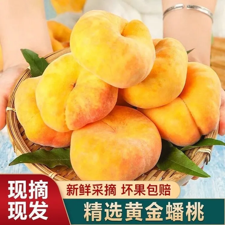 山东蒙阴正宗黄金毛蟠桃新鲜现摘香甜多汁软硬两吃应季水果孕妇