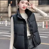 a168秋冬免洗马甲