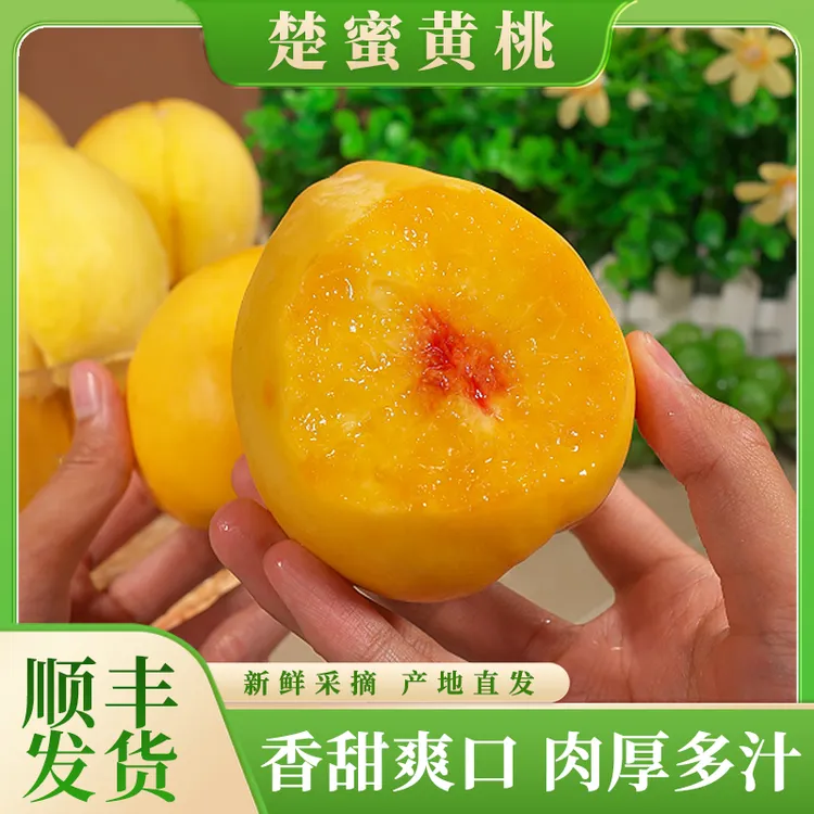 【顺丰】楚蜜黄桃新鲜时令水果毛桃黄桃红心蜜桃香甜多汁精选3斤起