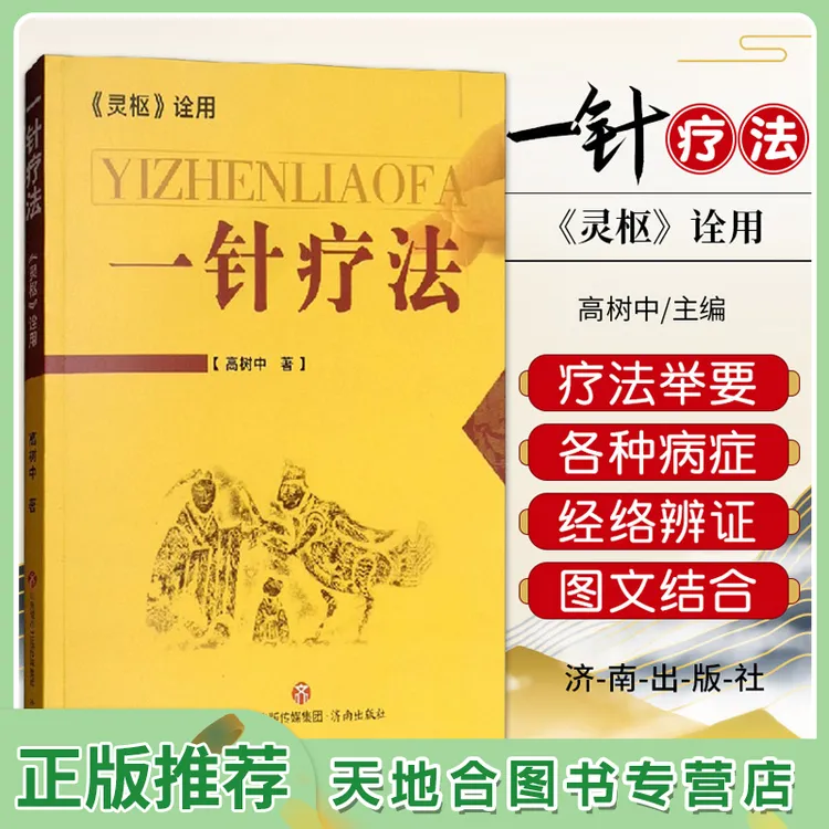 【天地合】一针疗法 灵枢诠用 高树中 经络病症脏腑病症时间性病症