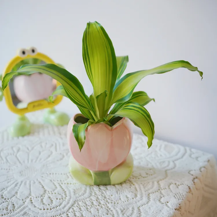 金灿灿水培土培精致室内盆栽桌面净化空气一养观叶植物耐阴绿植