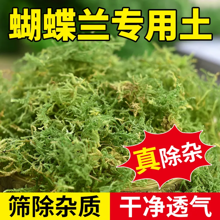 花多多干苔藓水苔蝴蝶兰水苔兰花蝴蝶兰专用土石斛种植营养土爬宠