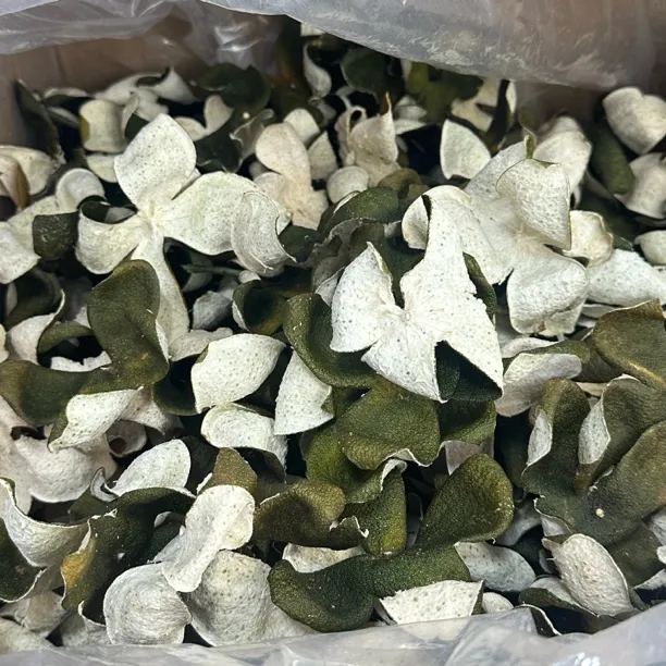 【2025年新会天马青皮】自家皮，人工开果、四瓣，介意勿拍！推荐看门口