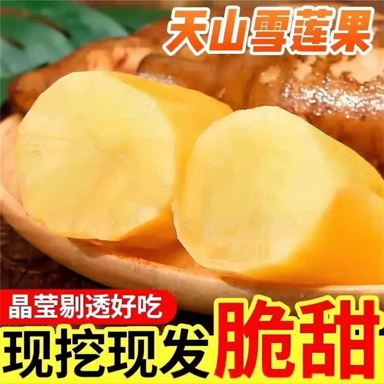 【低糖】云南天山雪莲果清甜多汁黄心新鲜应季孕妇水果现挖产地包邮