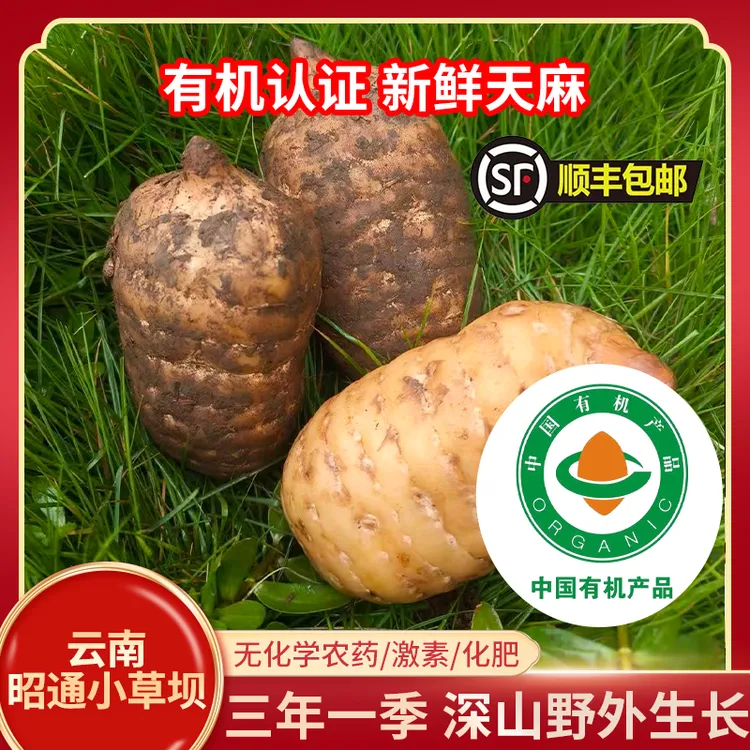 有机鲜天麻云南昭通有机天麻云南小草坝鲜天麻500g顺丰包邮