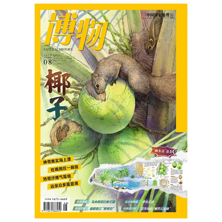 中国国家地理博物杂志椰子主题25年8月课外阅读科普探索百科全书
