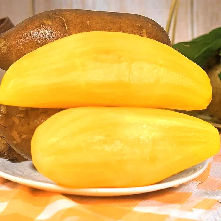 云南天山雪莲果现挖脆爽多汁新鲜水果3斤5斤9斤应季水果产地直发