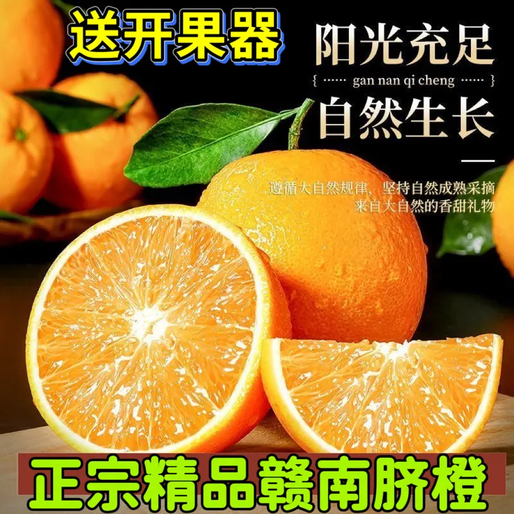 【精品蜜橙】正宗赣南脐橙不催熟橘子新鲜橙子当季应季手剥橙自然熟