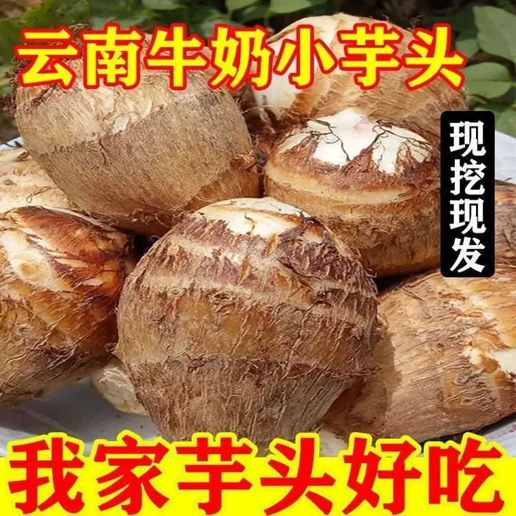正宗农家贵州牛奶鲜牛奶芋头新鲜香芋芋艿蔬菜现挖云南整箱批发