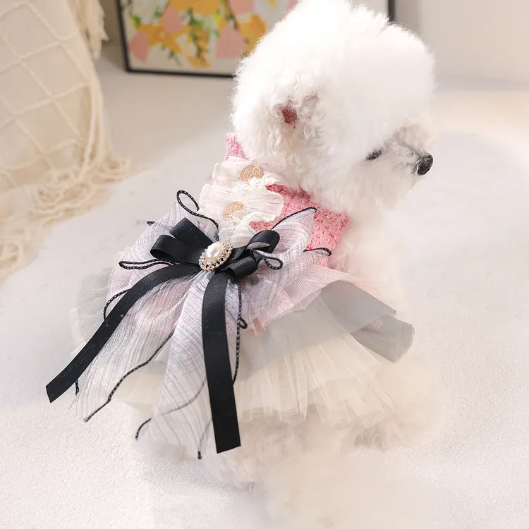 宠物狗狗秋冬新品奢华重工彩色香风裙泰迪比熊博美吉娃娃宠物衣服