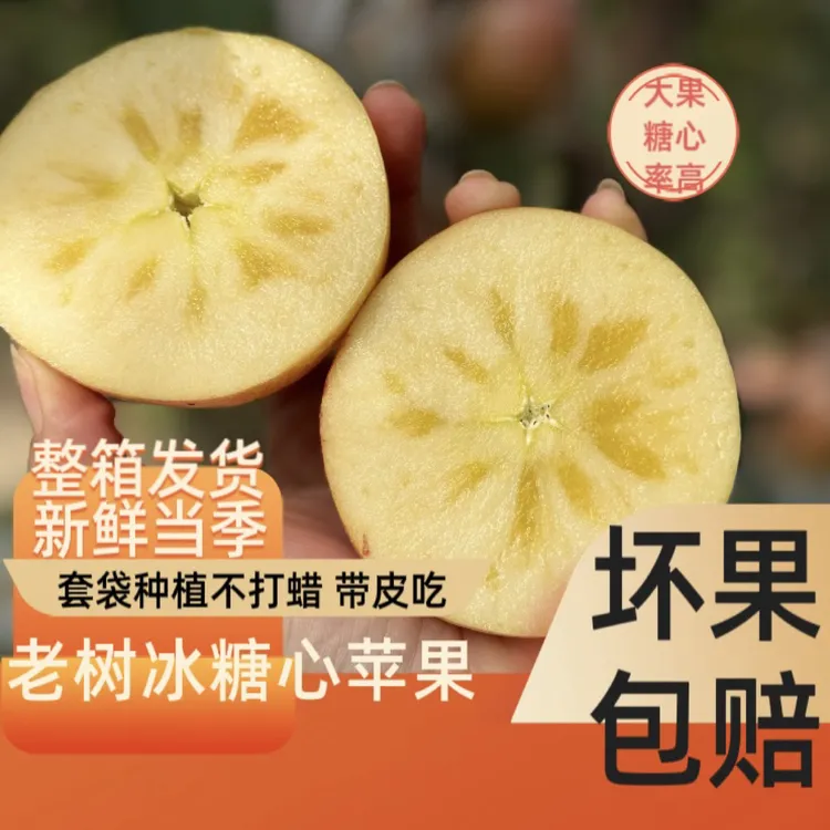 【YY精选】二十年老树冰糖心苹果酥脆香甜多汁当季鲜果