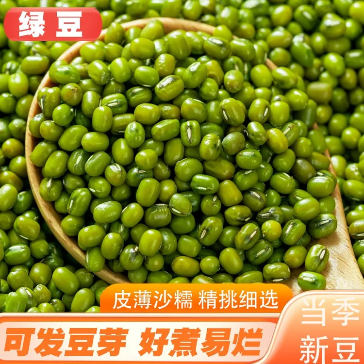 【夏日推荐】新鲜绿豆5斤正宗农家绿豆新货五谷杂粮绿豆JST-澜之翠