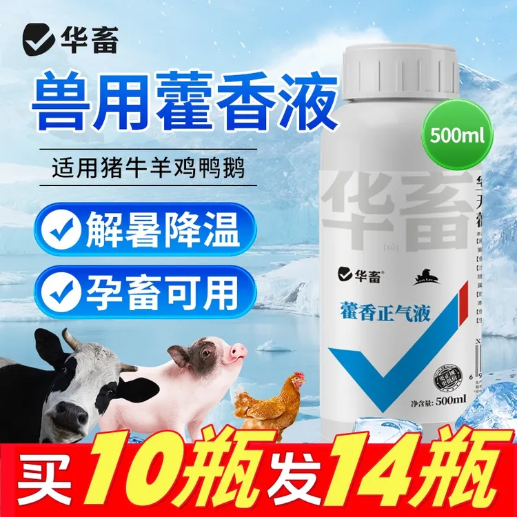 藿香正气液兽用藿香正气冰爽VC兽用口服液解暑兽用饲料添加剂