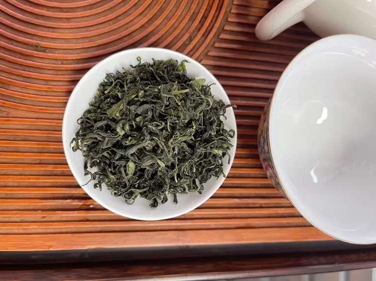 山茶2025年新绿茶