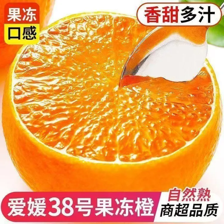 四川眉山爱媛果冻橙新鲜现摘甜多汁手剥橙子坏果包赔包邮XL