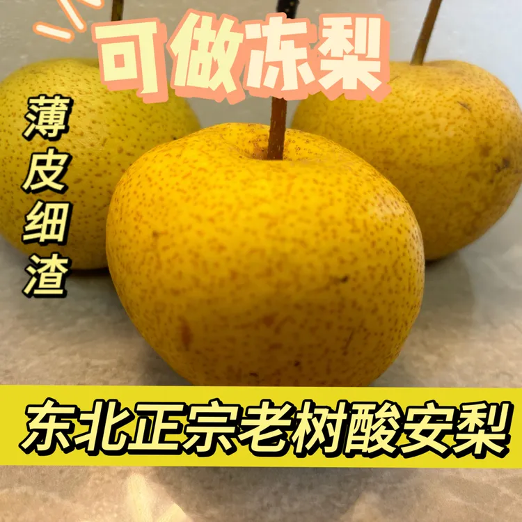 东北绥中安梨酸梨新下树有点硬梨可放软放黄吃可做冻梨