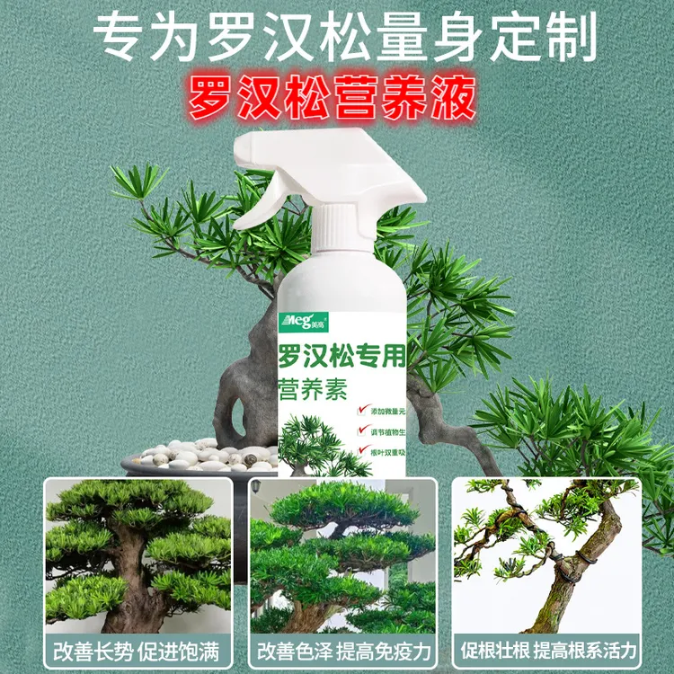 罗汉松营养液专用肥料复合肥有机液体肥厂家叶面肥免直销黄叶