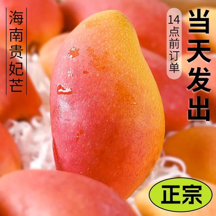 海南贵妃芒斤10新鲜水果树上熟当季热带现摘红金龙甜心芒整箱包邮