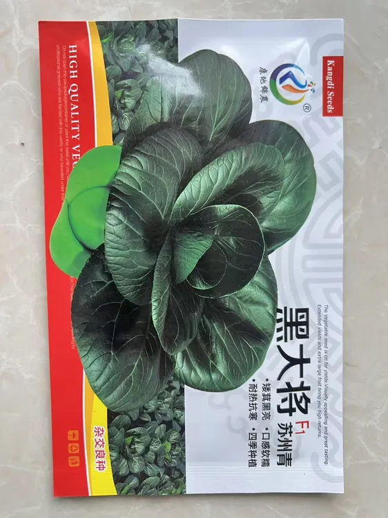 黑大将苏州青菜种子耐寒抗病高产适合小菜园大田播种