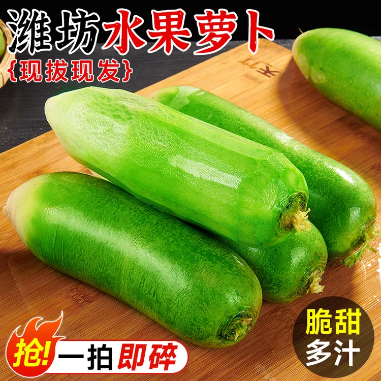 【潍坊直发】山东潍坊水果萝卜青萝卜沙窝萝卜脆甜可生吃现挖现发
