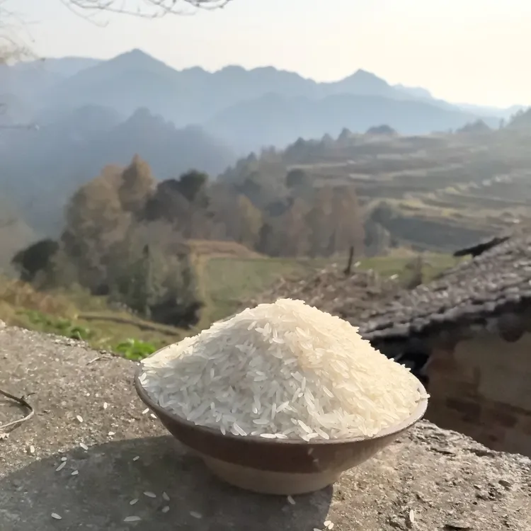 粒香园贵州长粒香自然香米5KG今年新米现磨现发梯田农家生态大米