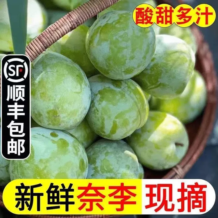 正宗福建老树奈李脆甜爽口果园新鲜直发大果一整箱包邮