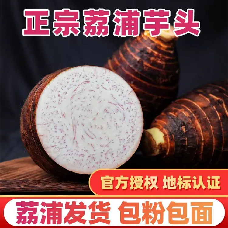 正宗荔浦芋头广西大芋头桂林新鲜香芋软糯现挖现发特产农产品毛芋商品图