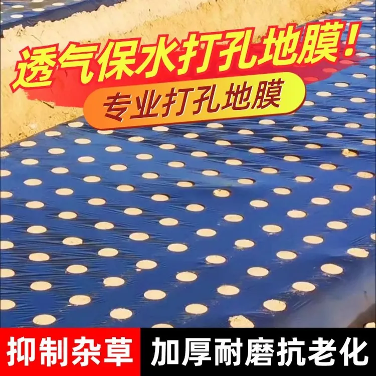 开孔膜农用种植黑地膜银黑反光膜除草保温免打孔地膜种菜小葱药材