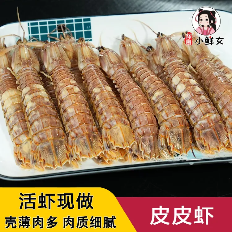 皮皮虾鲜活虾爬子熟冻500g/袋琵琶虾爬虾姑濑尿虾