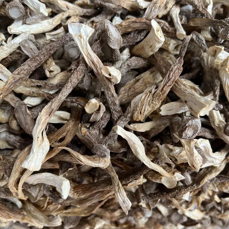 鹿茸菇干货鹿茸菌菇香菇煲汤食材散装250g/500g炖汤脆脆菇