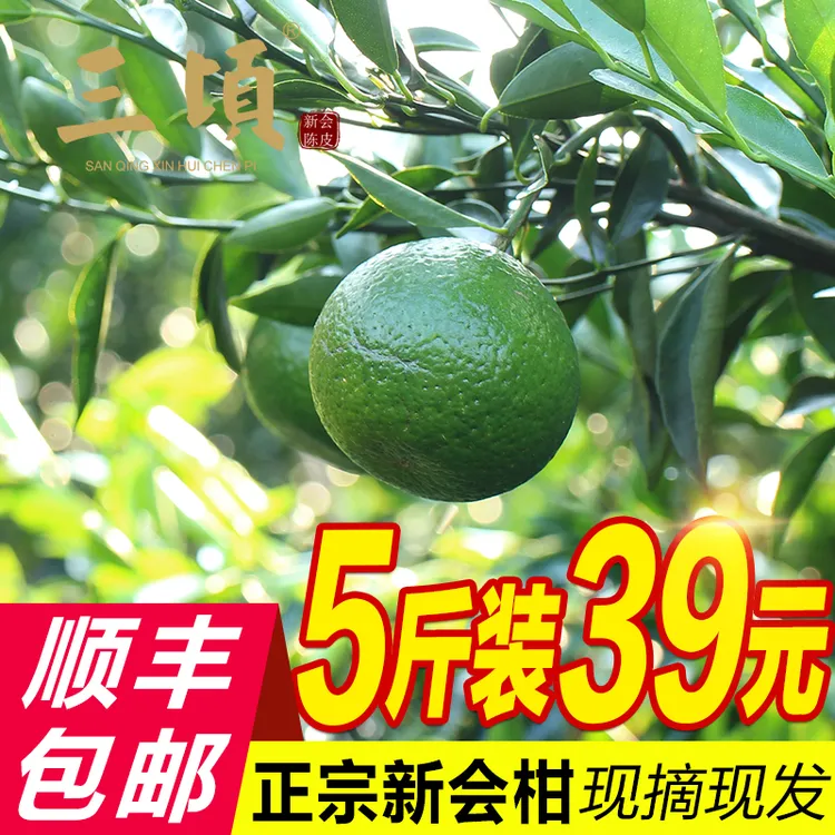 2025年新会柑鲜果 青柑