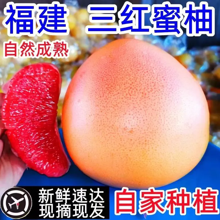 福建平和三红蜜柚红心红肉柚子老树新鲜水果