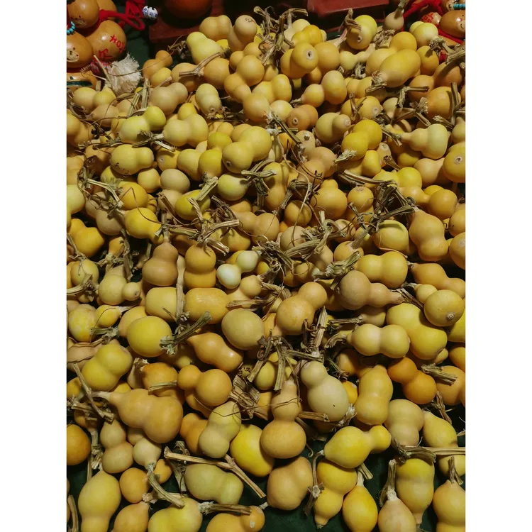 天然带龙头小葫芦手把件文玩专用福禄葫芦精品葫芦文玩