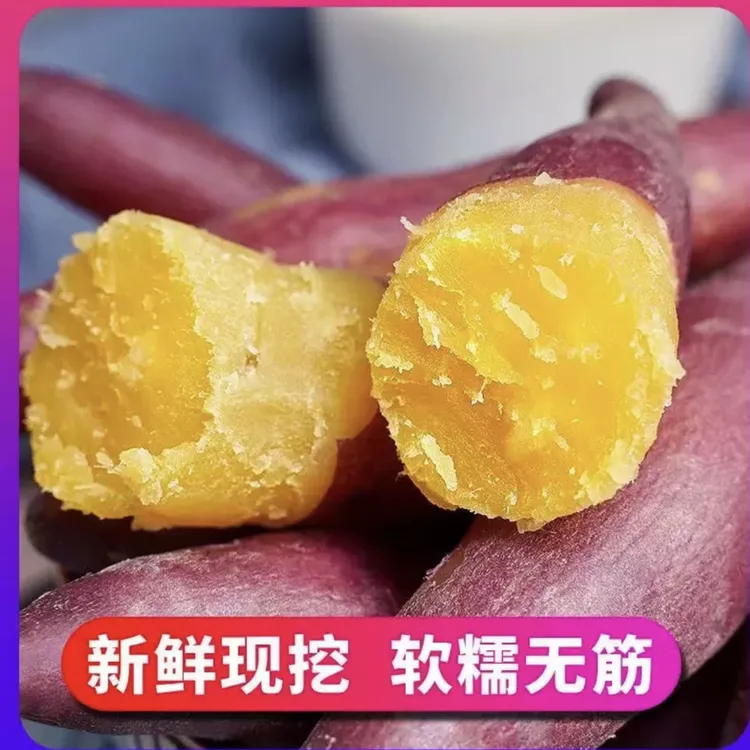 【高原蜜薯】农家自种新鲜现挖西瓜红蜜薯黄心番薯香甜皮薄软糯W