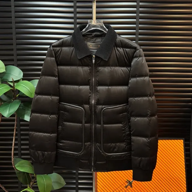 【清澈男装轻奢出品】/K82700QINGCHE2025/高端欧货羽绒服