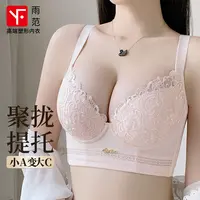 雨范【紫缕凝香】小胸聚拢文胸爆款内衣塑形收副乳防下垂新款胸罩