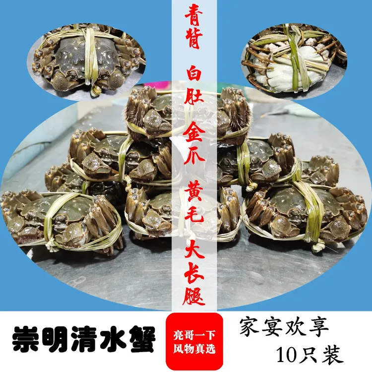[活蟹10只] 崇明清水蟹 绿色有机生态精品大闸蟹 公3.5两 母2.5两