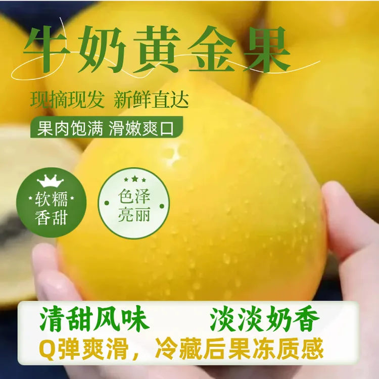 【热带稀奇A级黄晶果】云南西双版纳牛奶果新鲜软糥蜜甜多汁水果