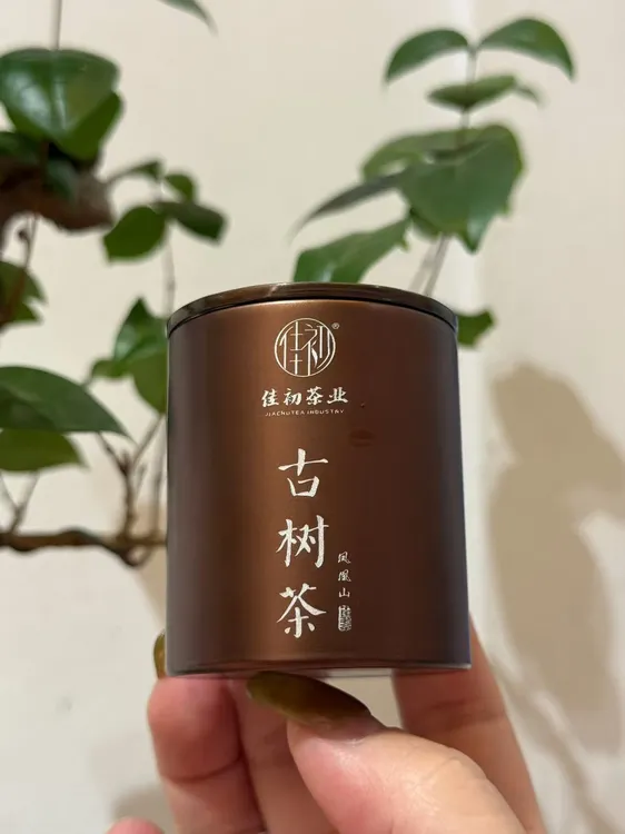 【佳初茶业】  老丛凹富后：韵味十足，果香浓郁